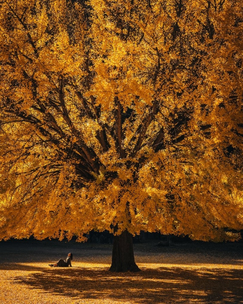 Amazing patterns of Asia in simple and harmonious photos of RK Amazing patterns of Asia in simple and harmonious photos of RK