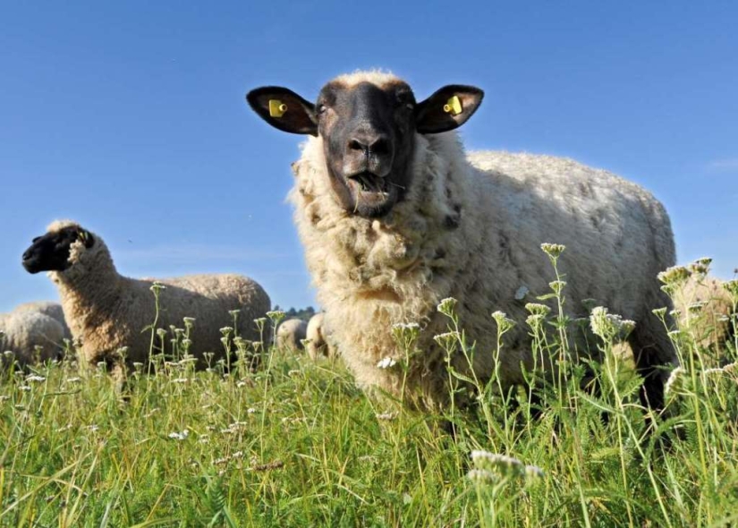 Amazing Research Results Amazing Research Results