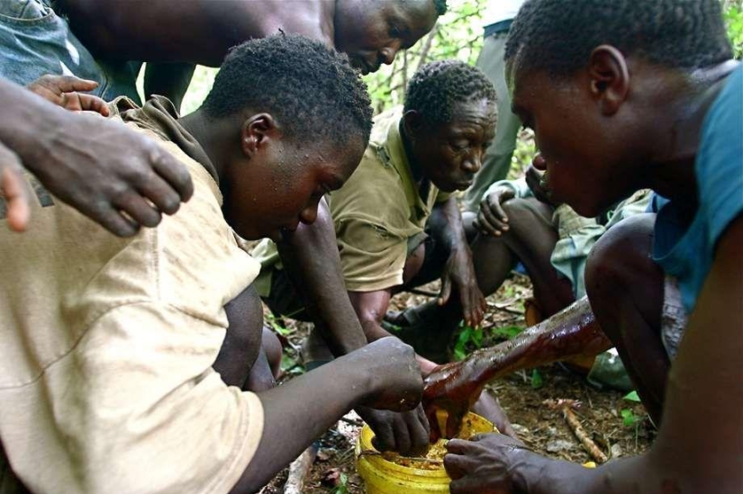 Amazing skills and abilities of the tribal peoples of the world