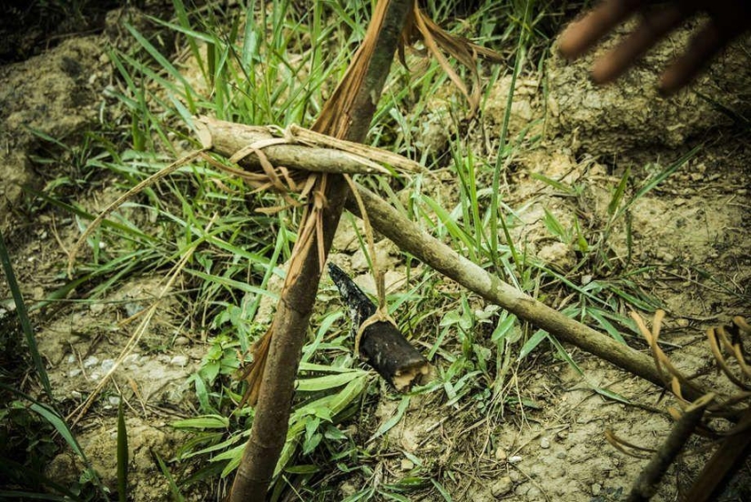 Amazing skills and abilities of the tribal peoples of the world