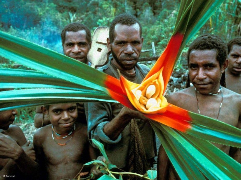 Amazing skills and abilities of the tribal peoples of the world
