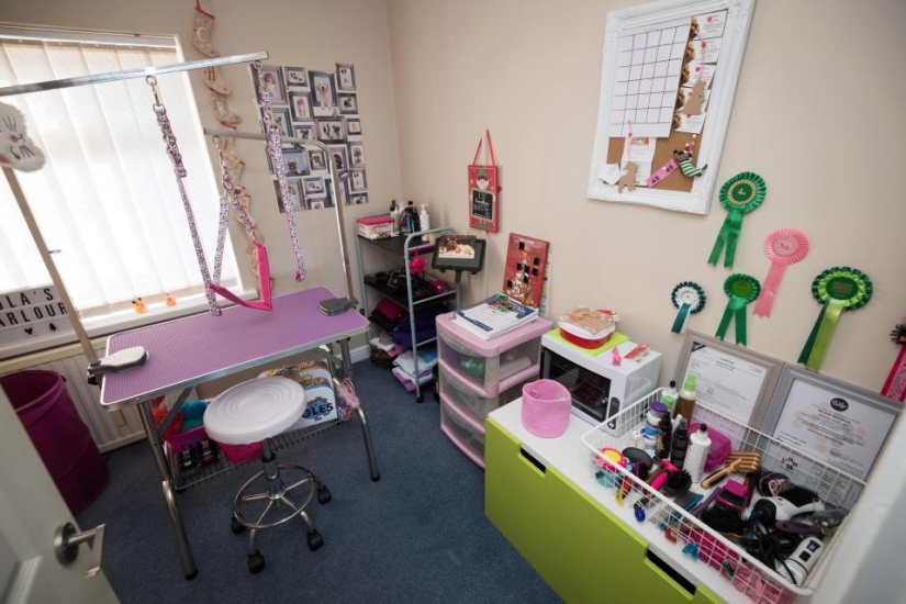 "Amo a Lola más que a mi hijo": una británica compró 68 regalos por mil libras para un perro