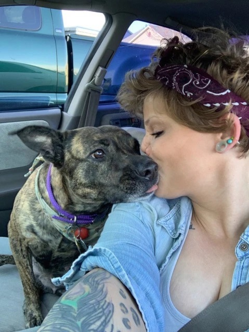 Amor desfigurado: un pitbull le mordió la nariz a una niña, pero ella lo perdonó y continúa acurrucándose con perros Amor desfigurado: un pitbull le mordió la nariz a una niña, pero ella lo perdonó y continúa acurrucándose con perros