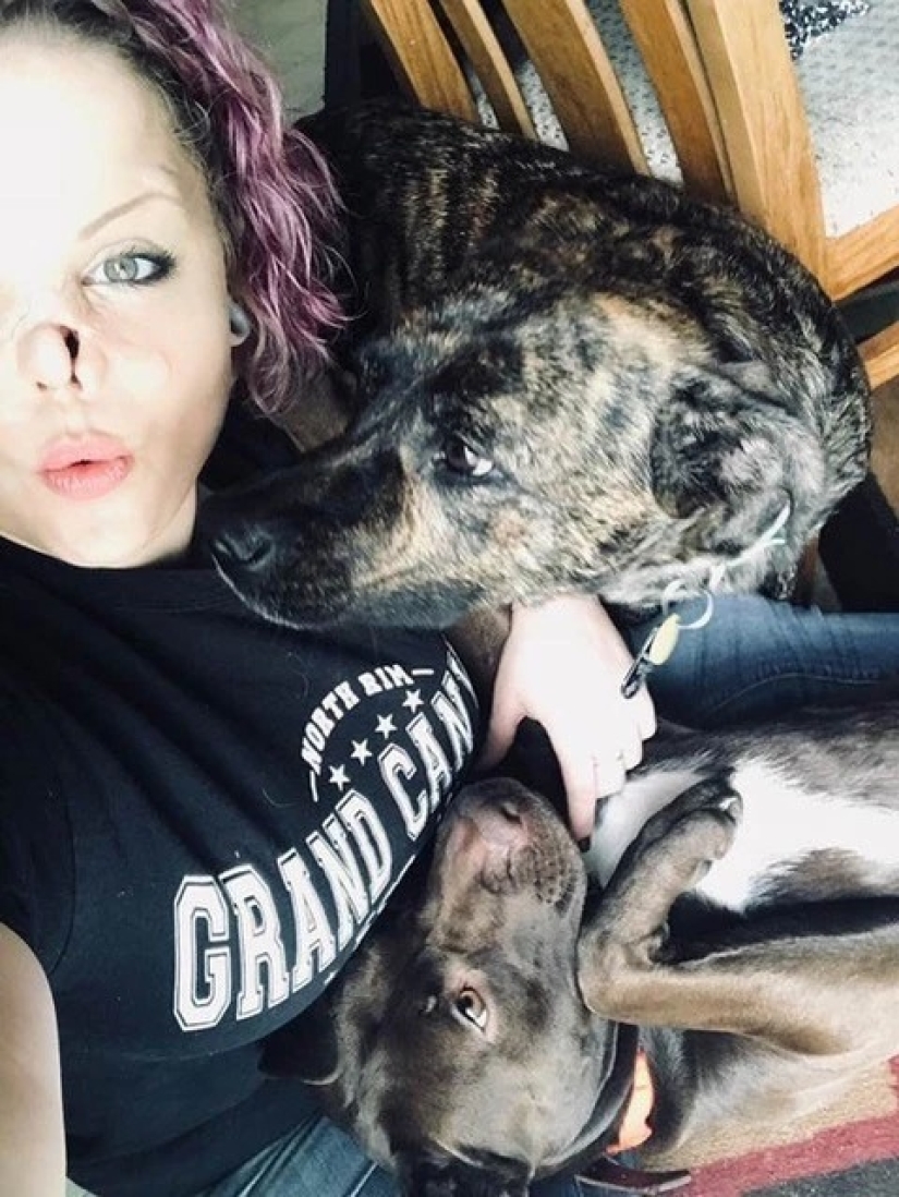Amor desfigurado: un pitbull le mordió la nariz a una niña, pero ella lo perdonó y continúa acurrucándose con perros Amor desfigurado: un pitbull le mordió la nariz a una niña, pero ella lo perdonó y continúa acurrucándose con perros