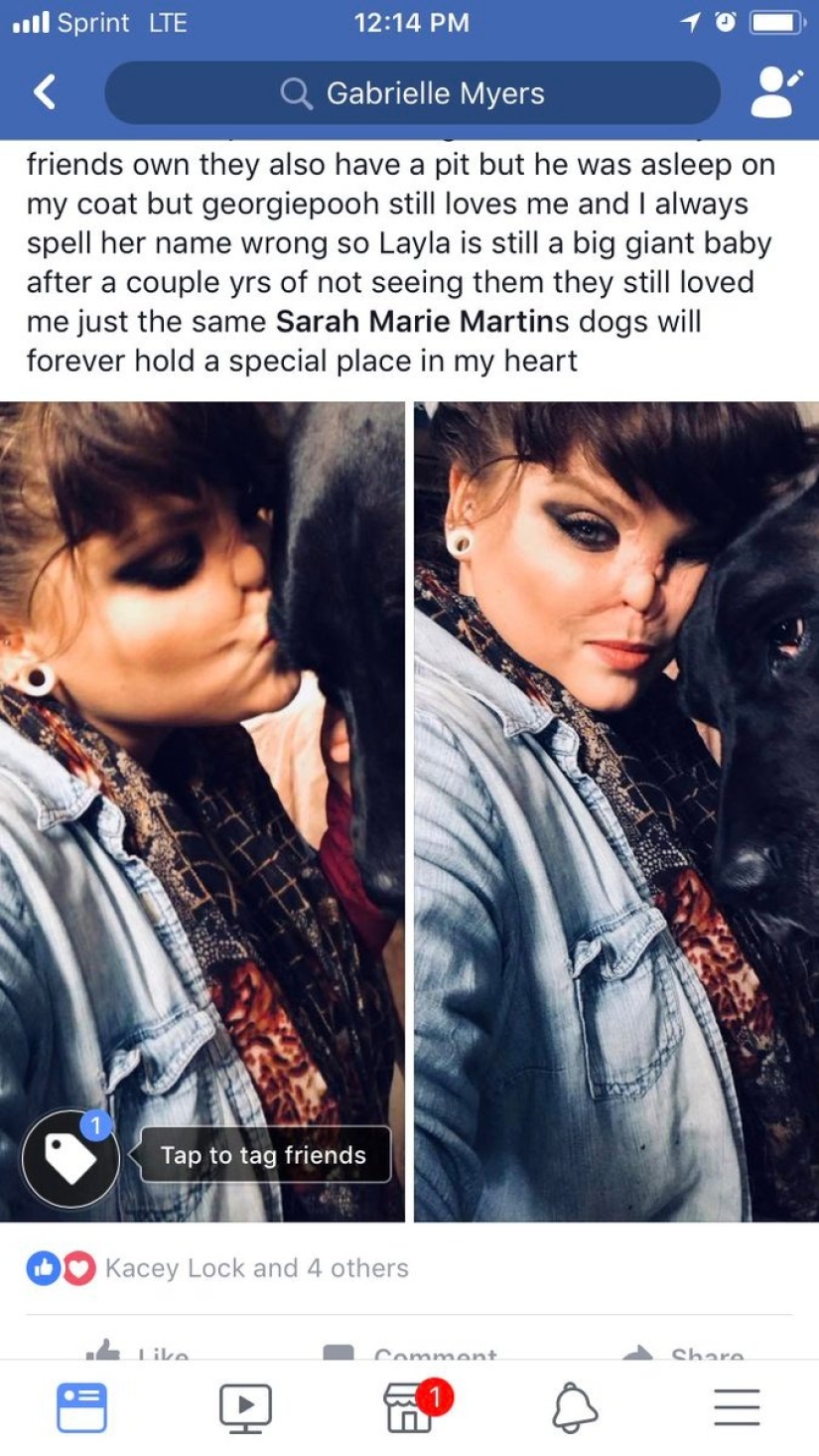 Amor desfigurado: un pitbull le mordió la nariz a una niña, pero ella lo perdonó y continúa acurrucándose con perros Amor desfigurado: un pitbull le mordió la nariz a una niña, pero ella lo perdonó y continúa acurrucándose con perros