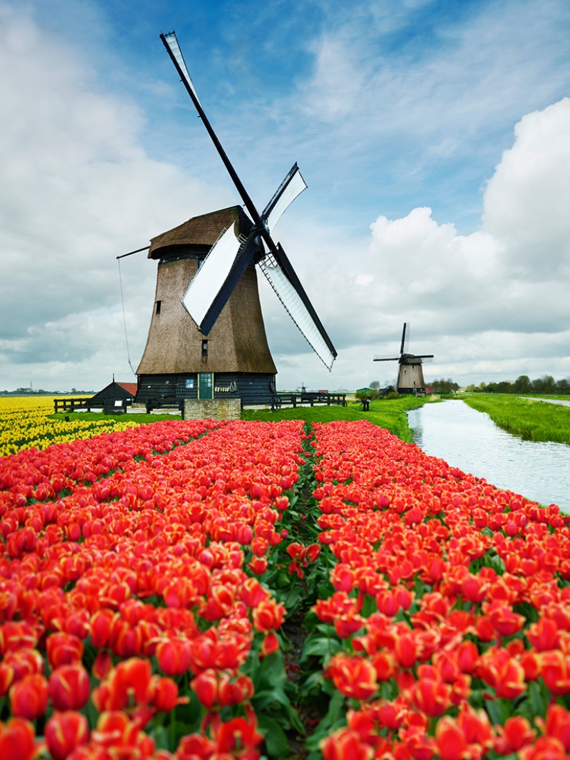 Amsterdam Is Not What You Know