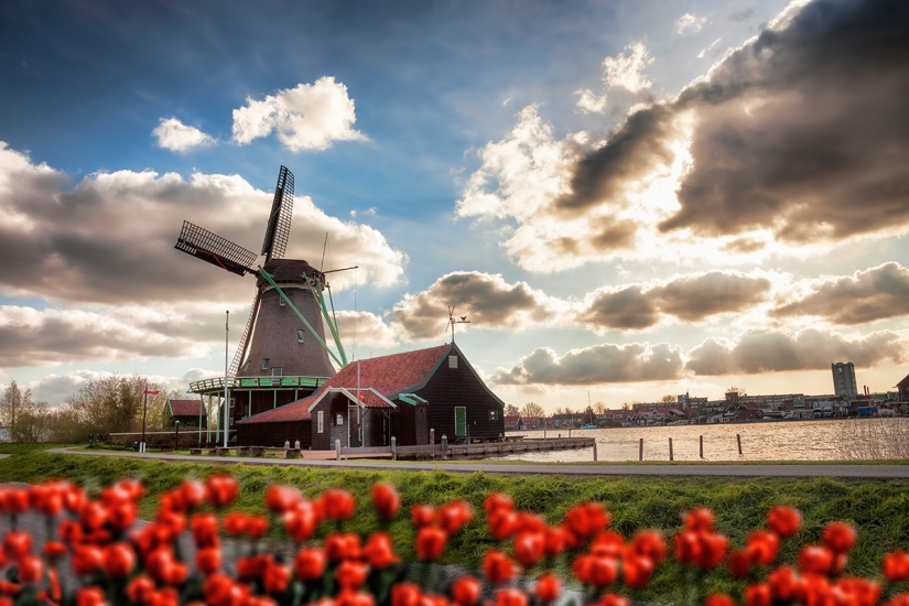 Amsterdam Is Not What You Know