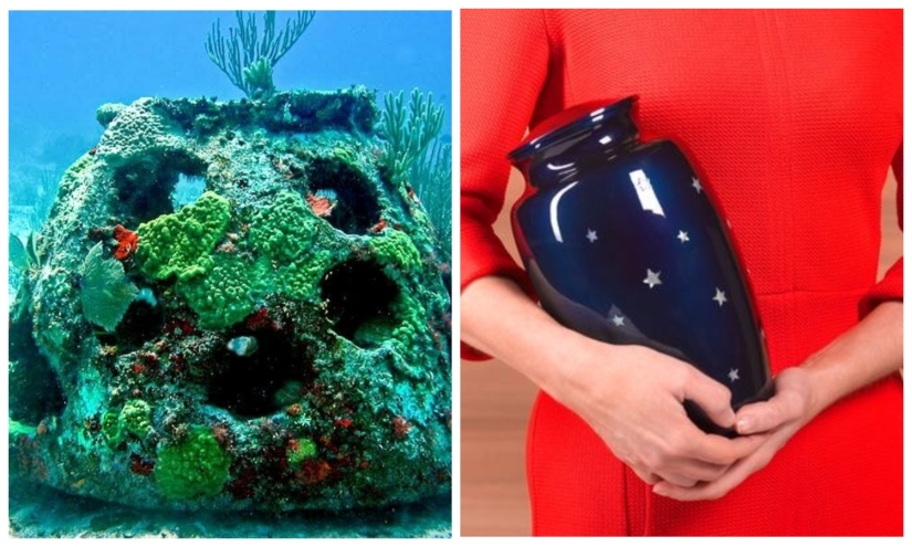 An American funeral services firm offers to turn the ashes of the dead into coral reefs An American funeral services firm offers to turn the ashes of the dead into coral reefs