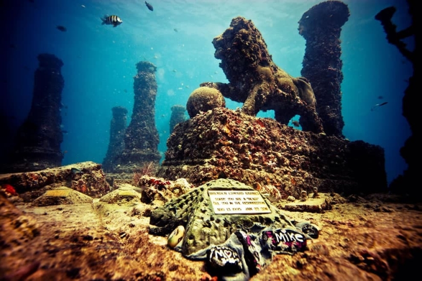 An American funeral services firm offers to turn the ashes of the dead into coral reefs An American funeral services firm offers to turn the ashes of the dead into coral reefs