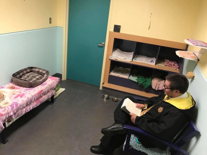 An American tamed a homeless blind cat by reading Harry Potter books to him