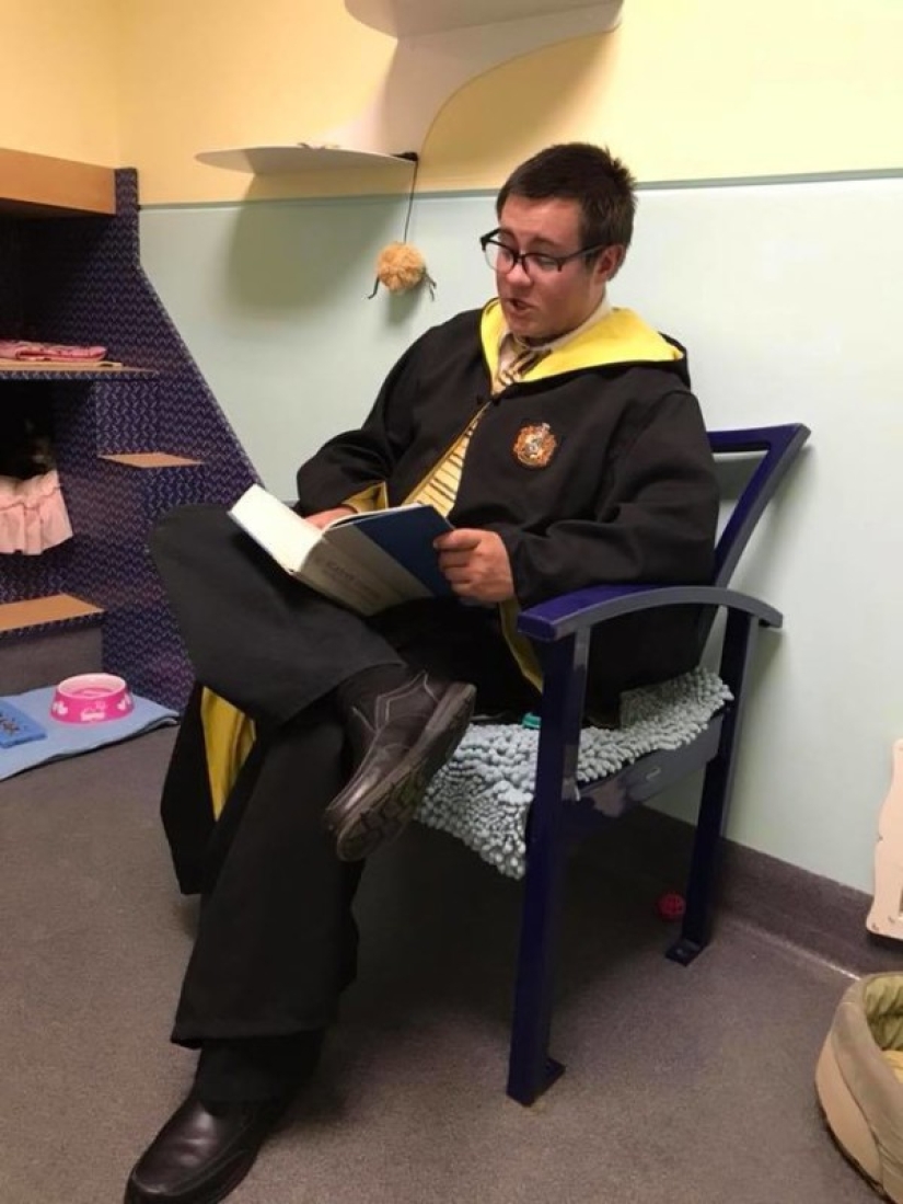 An American tamed a homeless blind cat by reading Harry Potter books to him