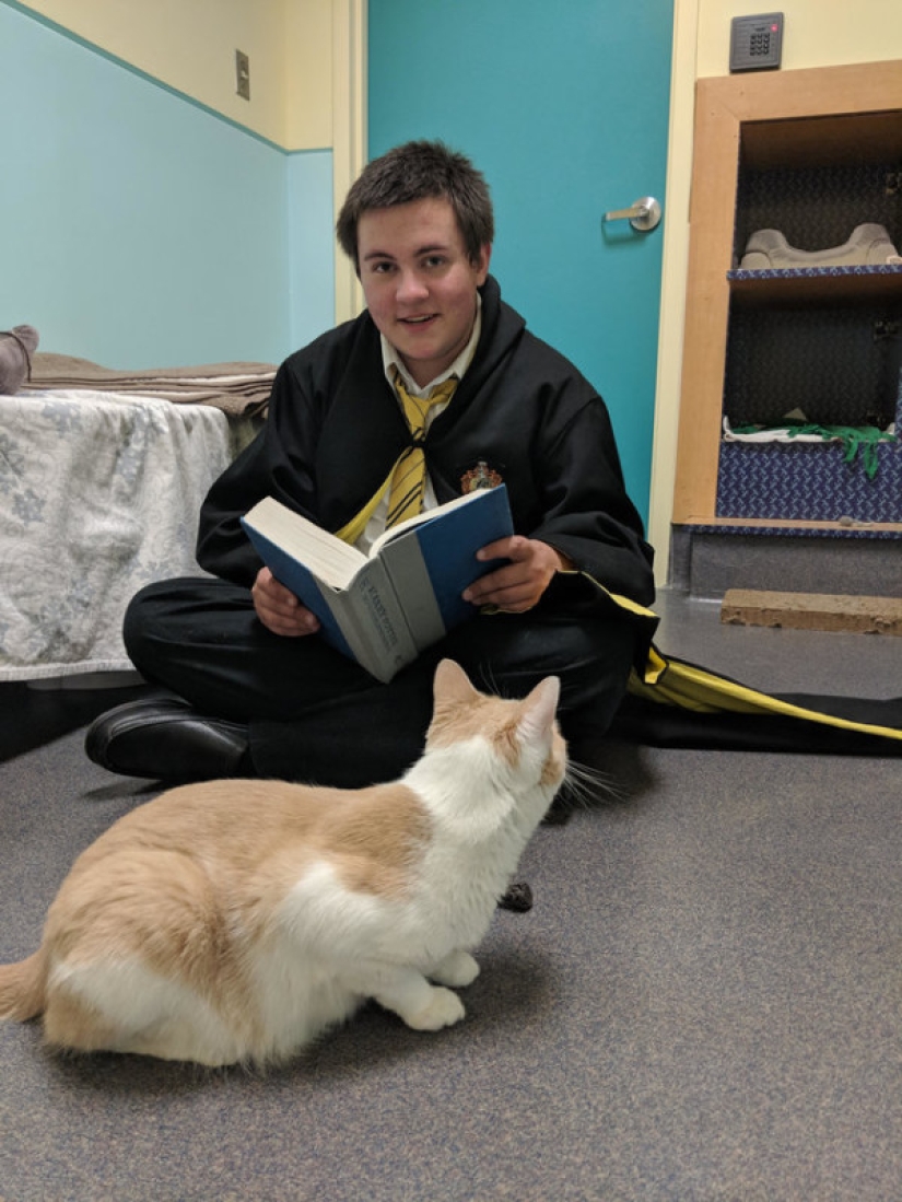An American tamed a homeless blind cat by reading Harry Potter books to him