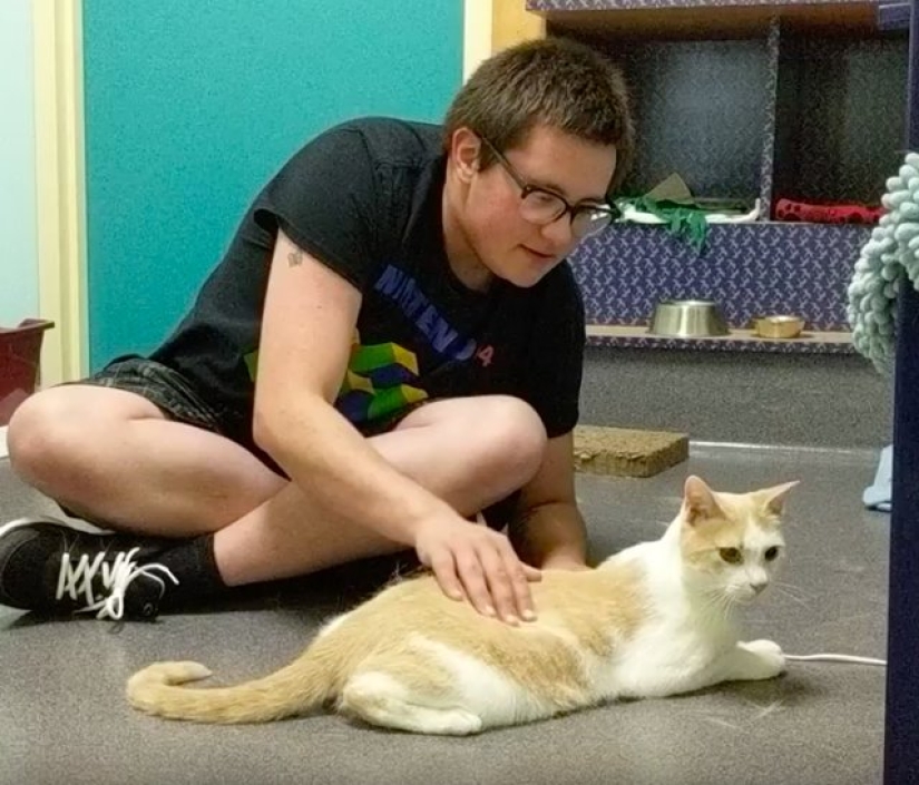 An American tamed a homeless blind cat by reading Harry Potter books to him