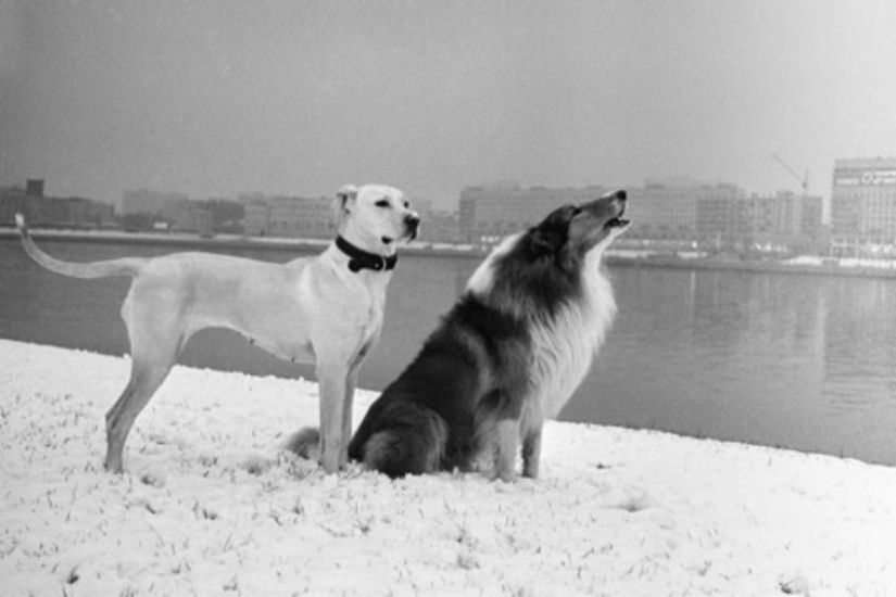 An archive of photographs of an unknown genius Masha Ivashintsova was discovered in St. Petersburg