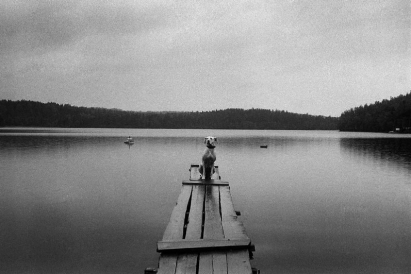 An archive of photographs of an unknown genius Masha Ivashintsova was discovered in St. Petersburg