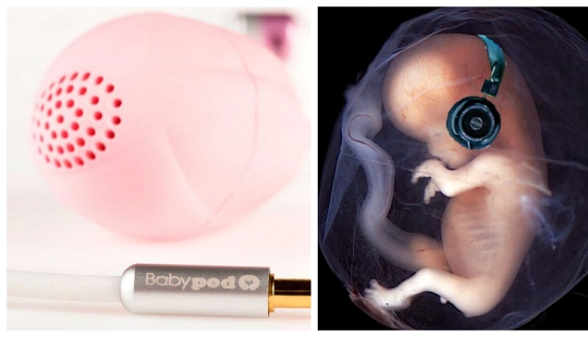 An Extravagant Way to spend $150: a vaginal player for moms of future geniuses