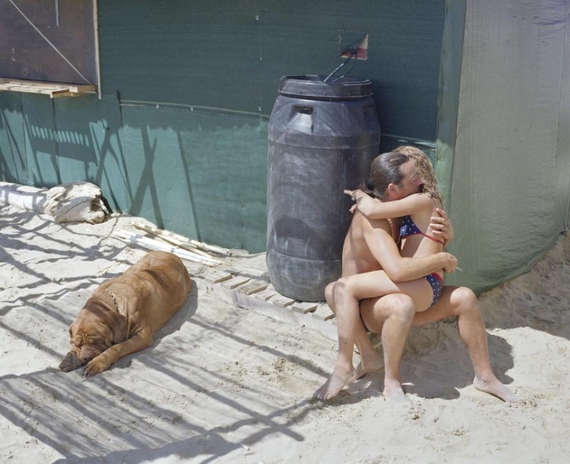An island of freedom and warmth: the last wild beach of Piemanson