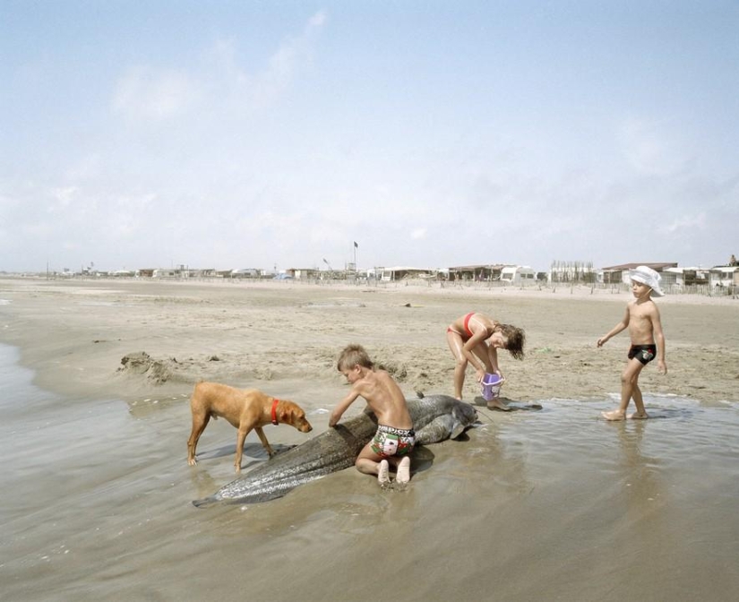 An island of freedom and warmth: the last wild beach of Piemanson