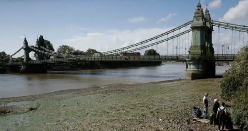 An island of wet wipes has appeared in London