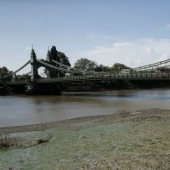An island of wet wipes has appeared in London
