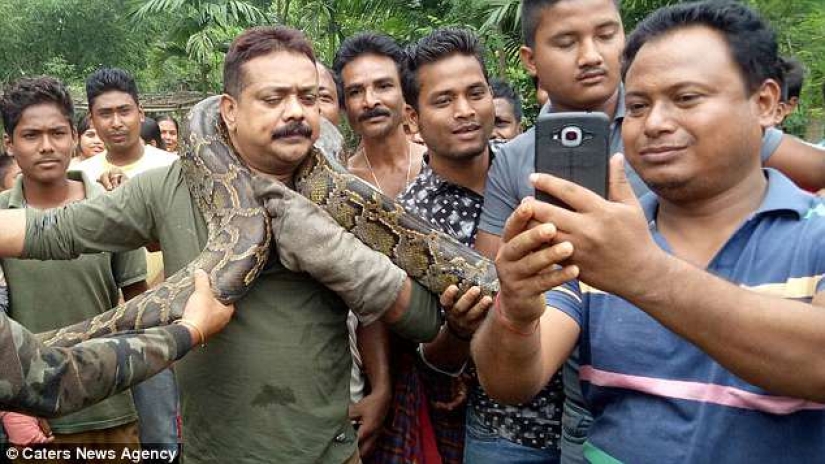 An ungrateful creature: a 10-meter python almost strangled its savior An ungrateful creature: a 10-meter python almost strangled its savior