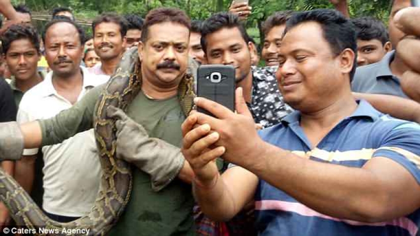 An ungrateful creature: a 10-meter python almost strangled its savior An ungrateful creature: a 10-meter python almost strangled its savior