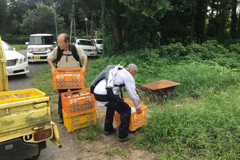 Ancianos japoneses usan exoesqueletos para seguir trabajando