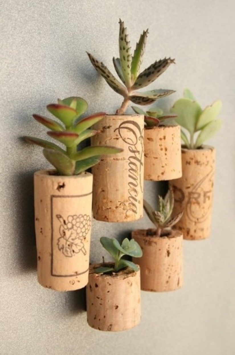 And again new ideas for ordinary things