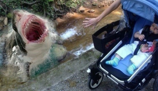 "And yet he survived": what happens if you leave a child to a couple of designers "And yet he survived": what happens if you leave a child to a couple of designers