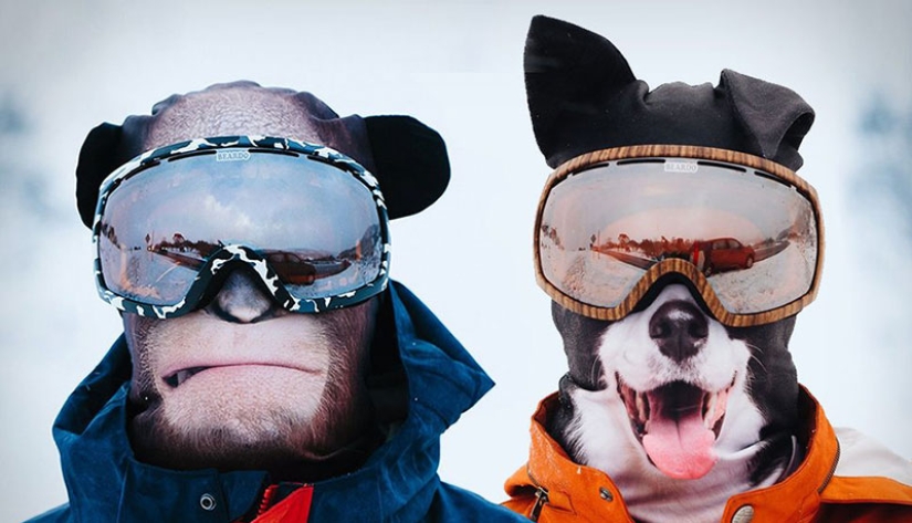 Animales en esquís: diseñadores de Canadá han creado pasamontañas "animales"