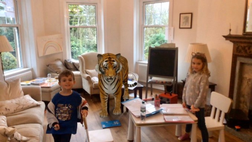 Animales favoritos en 3D: Google te da la oportunidad de ver la proyección de animales en la casa