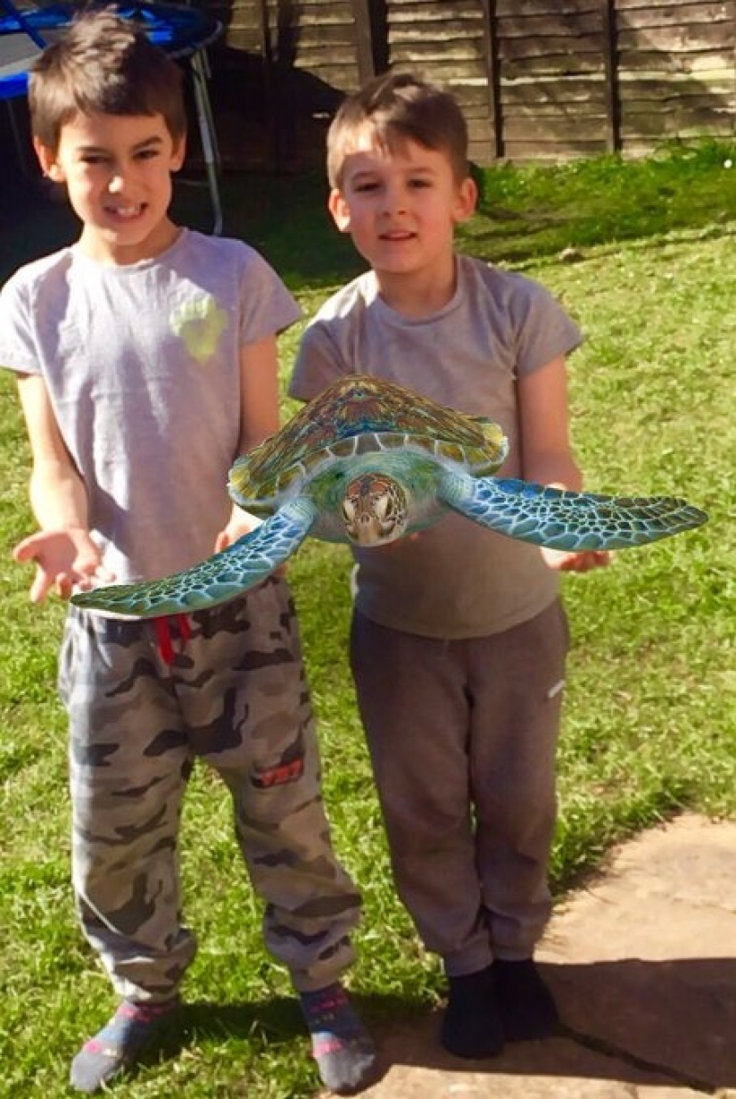 Animales favoritos en 3D: Google te da la oportunidad de ver la proyección de animales en la casa