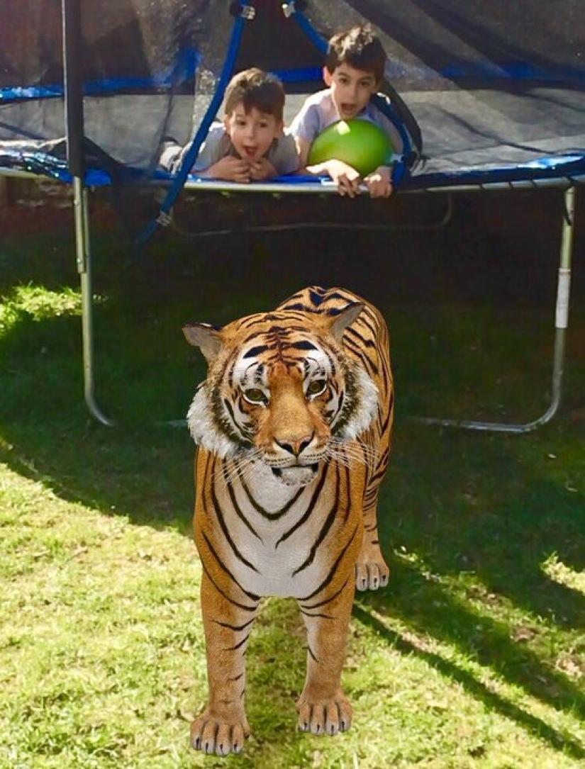 Animales favoritos en 3D: Google te da la oportunidad de ver la proyección de animales en la casa