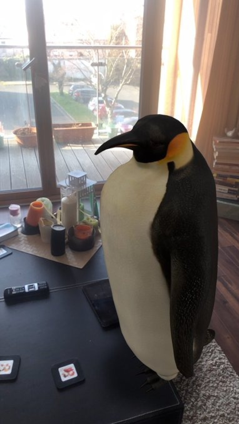 Animales favoritos en 3D: Google te da la oportunidad de ver la proyección de animales en la casa