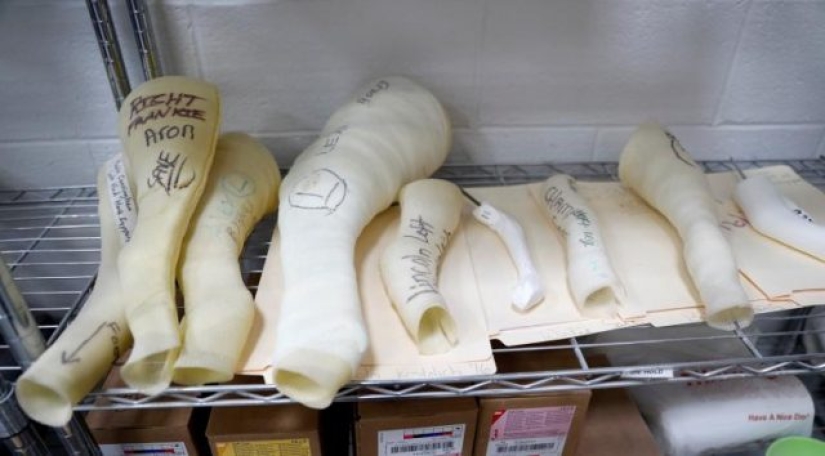 Animals without limbs given a second chance