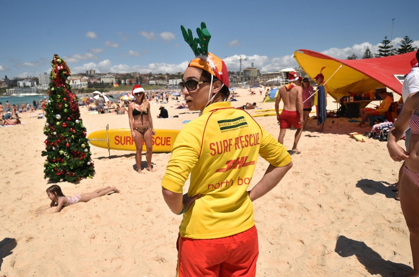 Año Nuevo y Navidad al estilo australiano: canguros en lugar de ciervos y Papá Noel en una tabla con remo