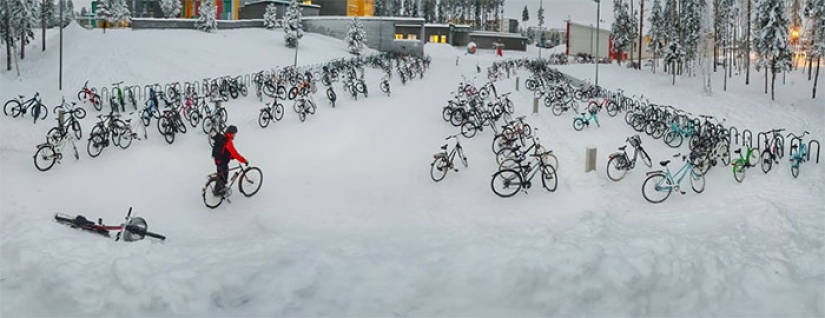 Anticongelante en la sangre: los niños finlandeses van en bicicleta a la escuela a una temperatura de — 17C