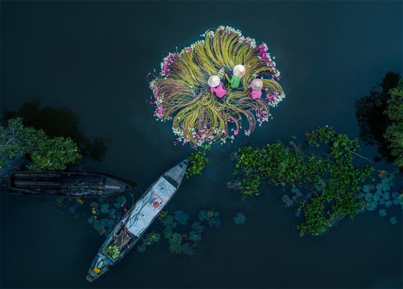 Anuncio de los ganadores de SkyPixel: las mejores fotos tomadas por drones Anuncio de los ganadores de SkyPixel: las mejores fotos tomadas por drones