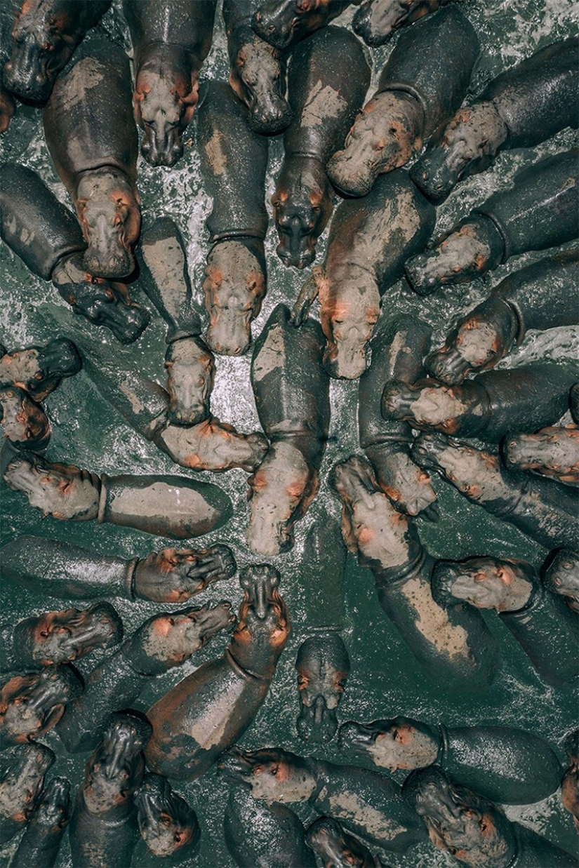 Anuncio de los ganadores de SkyPixel: las mejores fotos tomadas por drones Anuncio de los ganadores de SkyPixel: las mejores fotos tomadas por drones