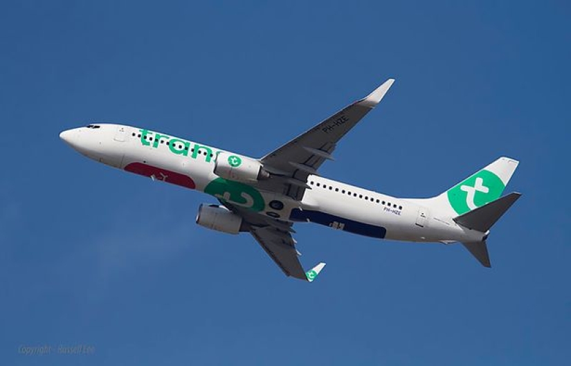 "Apestaba tanto que los pasajeros se desmayaron": piloto aterrizó el avión por el olor