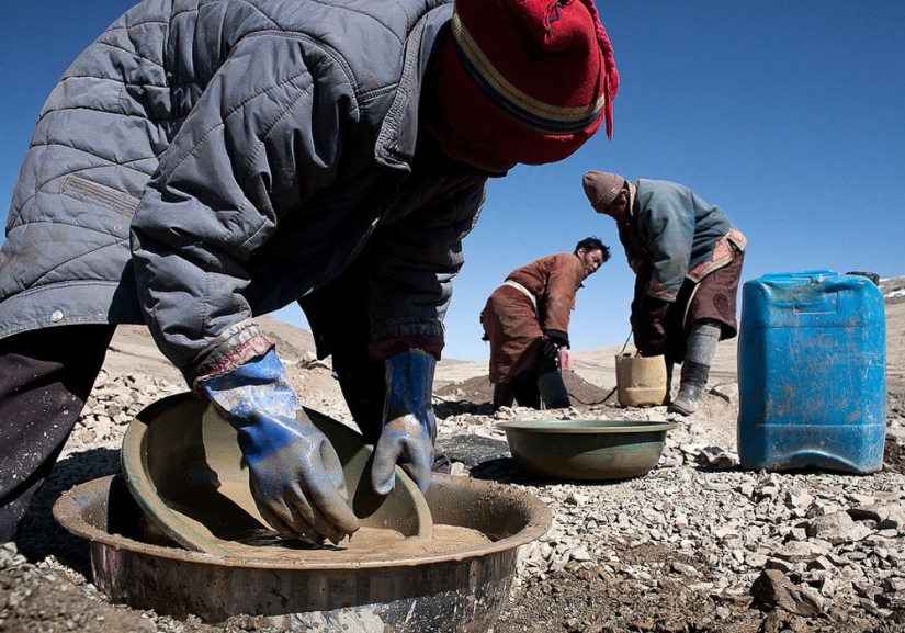 Are the Mongols no longer nomads?