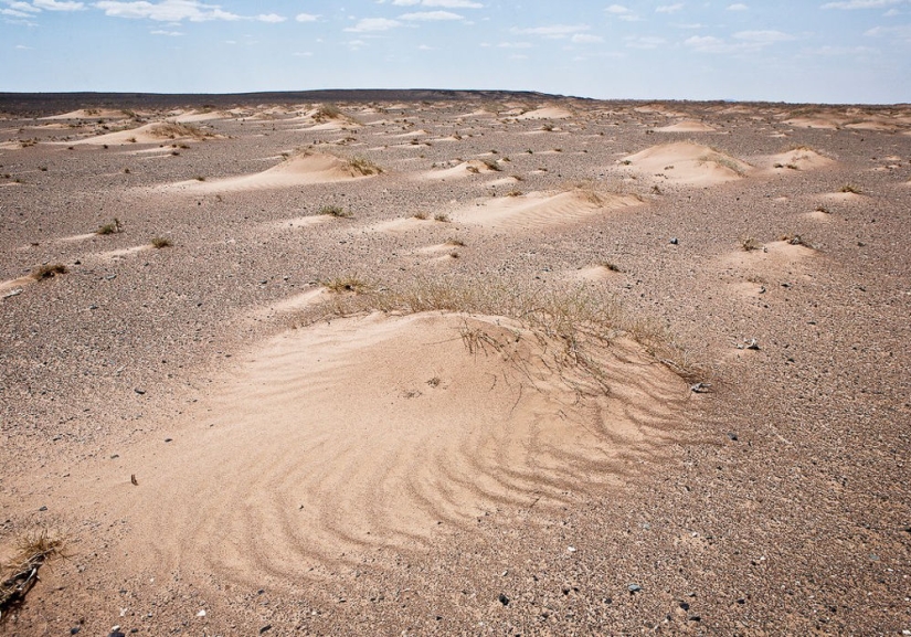 Are the Mongols no longer nomads?