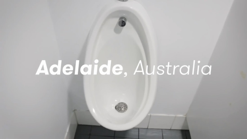 Around the world for 80 toilets