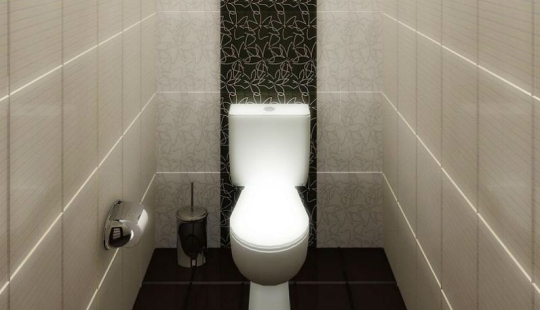 Around the world for 80 toilets