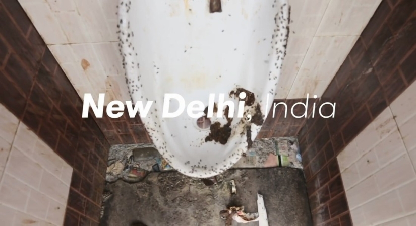 Around the world for 80 toilets