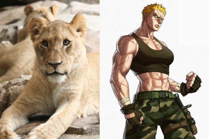 Artista coreano convierte animales en personajes originales que parecen de anime Artista coreano convierte animales en personajes originales que parecen de anime