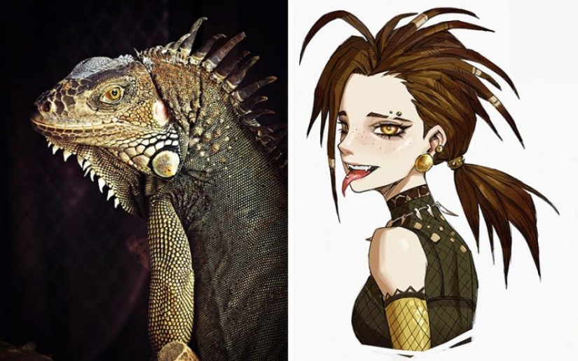 Artista coreano convierte animales en personajes originales que parecen de anime Artista coreano convierte animales en personajes originales que parecen de anime