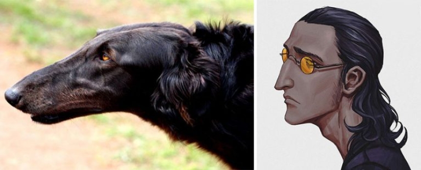 Artista coreano convierte animales en personajes originales que parecen de anime Artista coreano convierte animales en personajes originales que parecen de anime