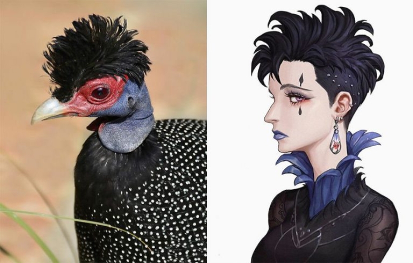 Artista coreano convierte animales en personajes originales que parecen de anime Artista coreano convierte animales en personajes originales que parecen de anime