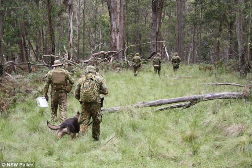 Asesino en serie de Australia vivió en secreto en un zoológico durante 7 años, robando fruta de animales Asesino en serie de Australia vivió en secreto en un zoológico durante 7 años, robando fruta de animales